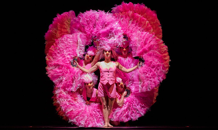 Voorstelling: Le Carnaval des Animaux (4+)